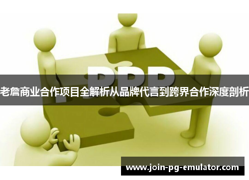 老詹商业合作项目全解析从品牌代言到跨界合作深度剖析
