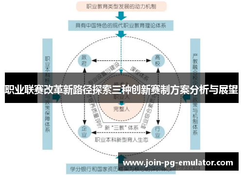 职业联赛改革新路径探索三种创新赛制方案分析与展望