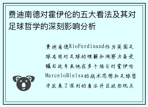 费迪南德对霍伊伦的五大看法及其对足球哲学的深刻影响分析